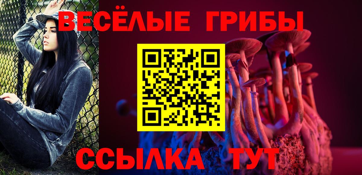 Галлюциногенные грибы GOLDEN TEACHER  Вход с VPN  Подольск  Псилоцибиновые грибы MAGIC MUSHROOMS 