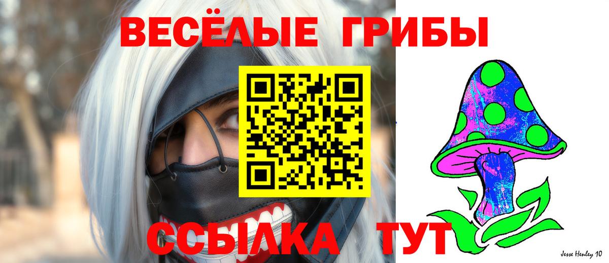 Галлюциногенные грибы GOLDEN TEACHER Подольск